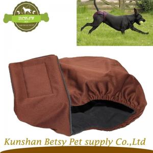 εποχική πάνες νέων σκυλιά