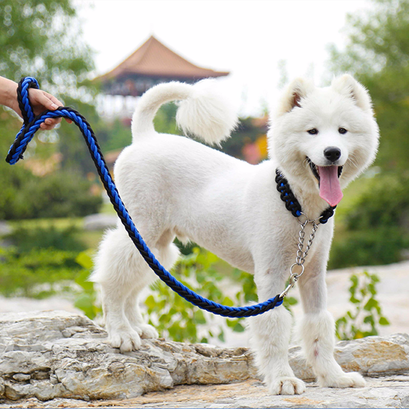 - τα σκυλιά τα νύχια.