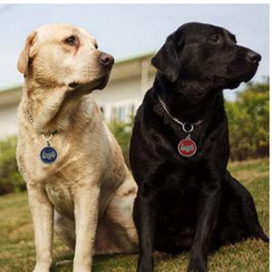 2018 Ζεστό Πώληση Σκύλος ή γάτα ID Ετικέτες χαραγμένο ή QR Code Pet Tag