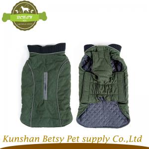 σκύλο κίτρινο κατοικίδιο...