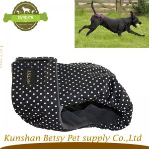 παντελόνι Σκύλα εποχές υψηλής ποιότητας