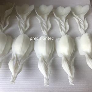 Διαλύματα πρωτοτύπου