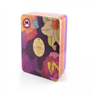 Ζεστό πωλούν τετράγωνο κασσίτερος κουτί για φεγγίτες, συσκευασία μπισκότων