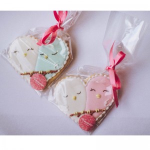 OPP CPP PE αυτοκόλλητη κορυφαία παγωμένη συσκευασία πλαστική σακούλα σφράγισης για μπισκότα καραμελών