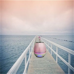 2018 νέες αφίξεις νεαρά ζωντανά πλαστικά αιθέρια έλαια diffuser