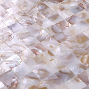 Wall Art Φυσικό μωσαϊκό κελύφους για βίλα φόντο