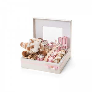 Ζεστό κουτί συσκευασίας συσκευασίας μακαρόν με σχεδιασμό κουτιού μακαρόνου καπακιού