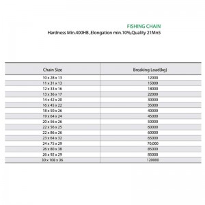Γαλβανισμένη αλυσίδα χάλυβα αλυσίδων αλυσίδων μεγάλου μήκους