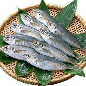 Κατεψυγμένο σκουμπρί