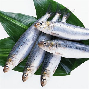 Κατεψυγμένη σαρδέλα