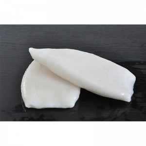 Κατεψυγμένο σωλήνα Squid