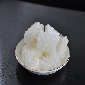 Κατεψυγμένα Λουλούδια Squid