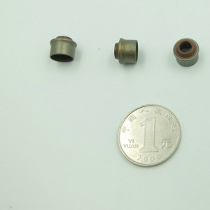 Κίνα εργοστάσιο FKM καουτσούκ στέλεχος βαλβίδα σφραγίδα πετρελαίου σφραγίδα πετρελαίου για Μοτοσικλέτα