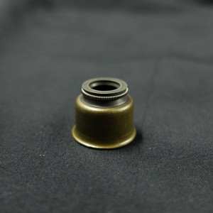 Υψηλής ποιότητας φτιαγμένο στην Κίνα Βαλβίδα σφραγίδα πετρελαίου βλαστικών για αυτοκίνητα της Ford