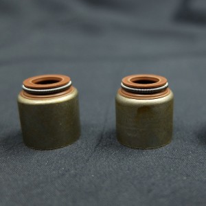 Κίνα προμηθευτής Βαλβίδα σφραγίδα πετρελαίου βλαστικών για τα αυτοκίνητα της Renault