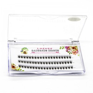 2D έως 20 D Επέκταση συμπλέγματος βλεφαρίδων