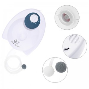 Φορητή αποικοδόμηση φυτοφαρμάκων Αποστείρωση νερού Γεννήτρια όζοντος για τον καθαρισμό λαχανικών και φρούτων