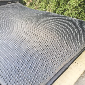 Οι εξογκώματα των κουκίδων δεν είναι πυκνές