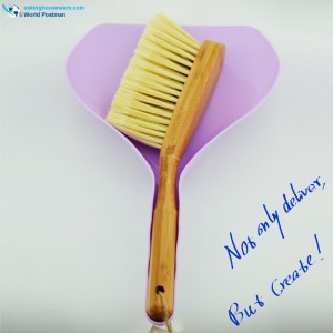 Akbrand Bamboo λαβή Dustpan βούρτσα