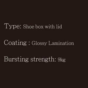 Κουτί παπουτσιών με καπάκι τύπου2