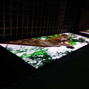 P8.928 Εξωτερική σκηνή ορόφου χορού Οθόνη οδήγησε / οδήγησε τοίχο βίντεο