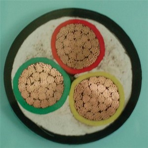 0,6 / 1kv 3 X 6mm2 καλώδιο ισχύος LV Pvc μονωμένο Cu στερεών / λωρίδων αγωγών