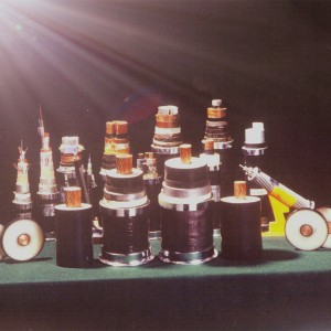 Όλα τα καλώδια θωράκισης υψηλής τάσης 110KV για ηλεκτρική μετάδοση Με GB 11017, IEC60840