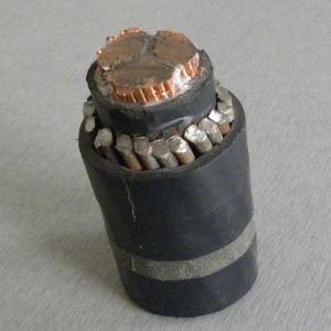 16mm² 3 καλώδιο από χαλύβδινο καλώδιο με θωρακισμένο καλώδιο με χάλκινα καλώδια για εσωτερική τοποθέτηση
