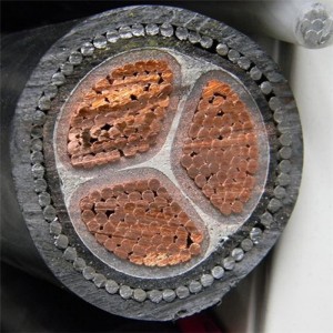 16mm² 3 καλώδιο από χαλύβδινο καλώδιο με θωρακισμένο καλώδιο με χάλκινα καλώδια για εσωτερική τοποθέτηση