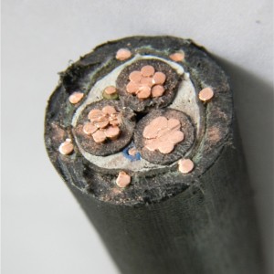 Καλωδιακή υπηρεσία Διαχωρισμένο καλώδιο XLPE μόνωσης 3x10mm2 Πρότυπο ASTM IEC BS