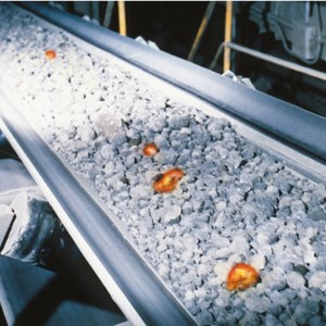 Θερμαινόμενη ζώνη μεταφοράς θερμότητας