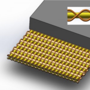 Ζώνη μεταφοράς αραμιδίου