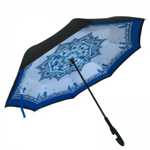 Χονδρική πτώση της αγοράς ναυτιλίας αντίστροφη αυτοκίνητο ταξίδι ανεστραμμένη ομπρέλα με αντίστροφη κλείσει