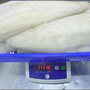 Κατεψυγμένα αλατισμένα φιλέτα Saithe Atlantic