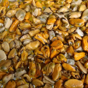 Κρέας από κατεψυγμένο βραστό κρέας