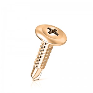 Μονωτικές βίδες με αυτοκόλλητη κεφαλή Modifer Truss