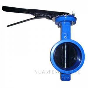 Ενσωματωμένη βαλβίδα πεταλούδας