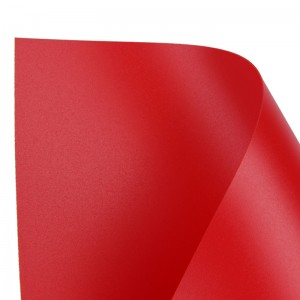 Πλαστικό ματ-αμμώδες πλαστικό PP φύλλο από πλαστικό υλικό