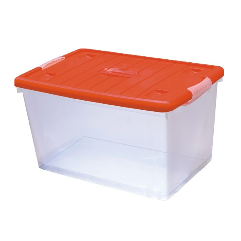 Πλαστικό καλούπι ένεσης για πλαστικά κουτιά αποθήκευσης