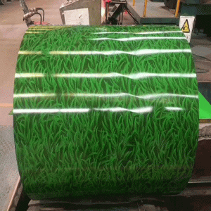 Πίνακας Caitu