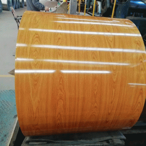 Το Caitu έλασε το πιάτο