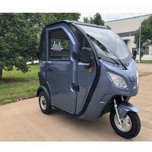 E-Trike, Ηλεκτρονικό τρικύκλιο, Ηλεκτρικό κιβώτιο