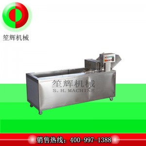 Πλυντήριο ρούχων για την απολύμανση του όζοντος πολυτελείας (αναστρέψιμη μεταφορική ταινία)