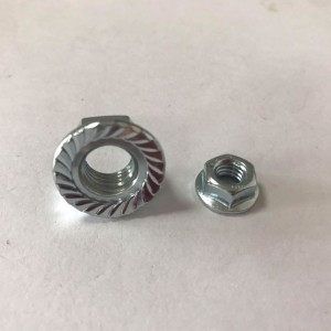 παξιμάδι φλάντζας