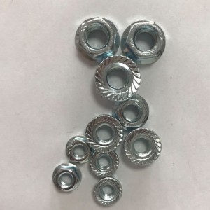 παξιμάδι φλάντζας