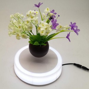 μαγνητική αέρας μπονσάι αέρας PA-0703