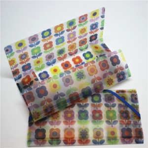 Πλαστικό φάκελο πλαστικού αρχείου PP με ελαστικό