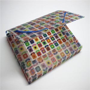 Πλαστικό φάκελο πλαστικού αρχείου PP με ελαστικό