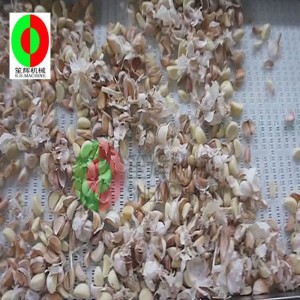 μηχανή απολέπισης σκόρδου FT-1000