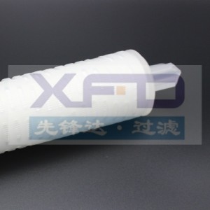 Πλινθωτή κασέτα φίλτρου --- RFG